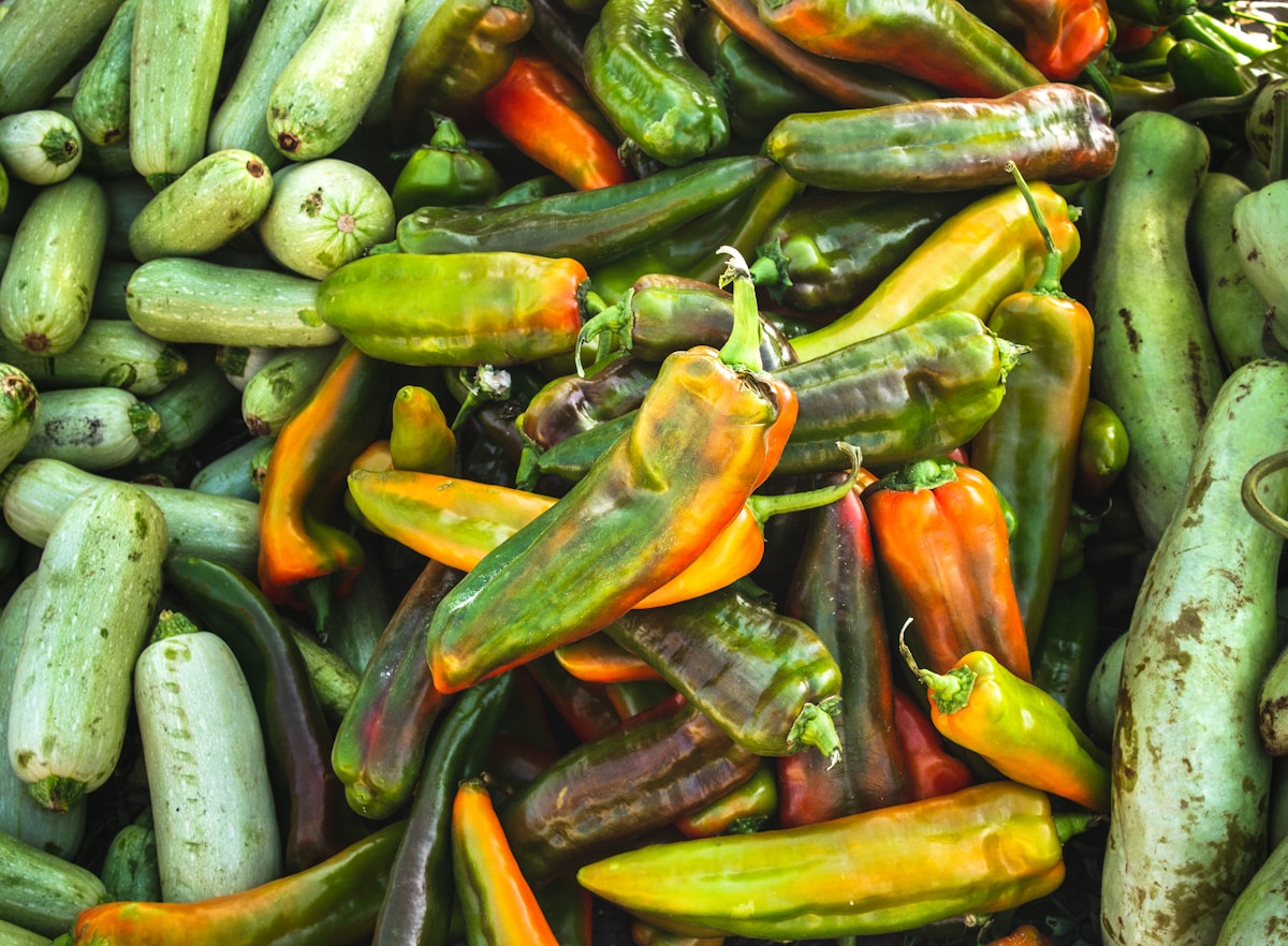 Fresh vegetables and vegan food options in Tamraght